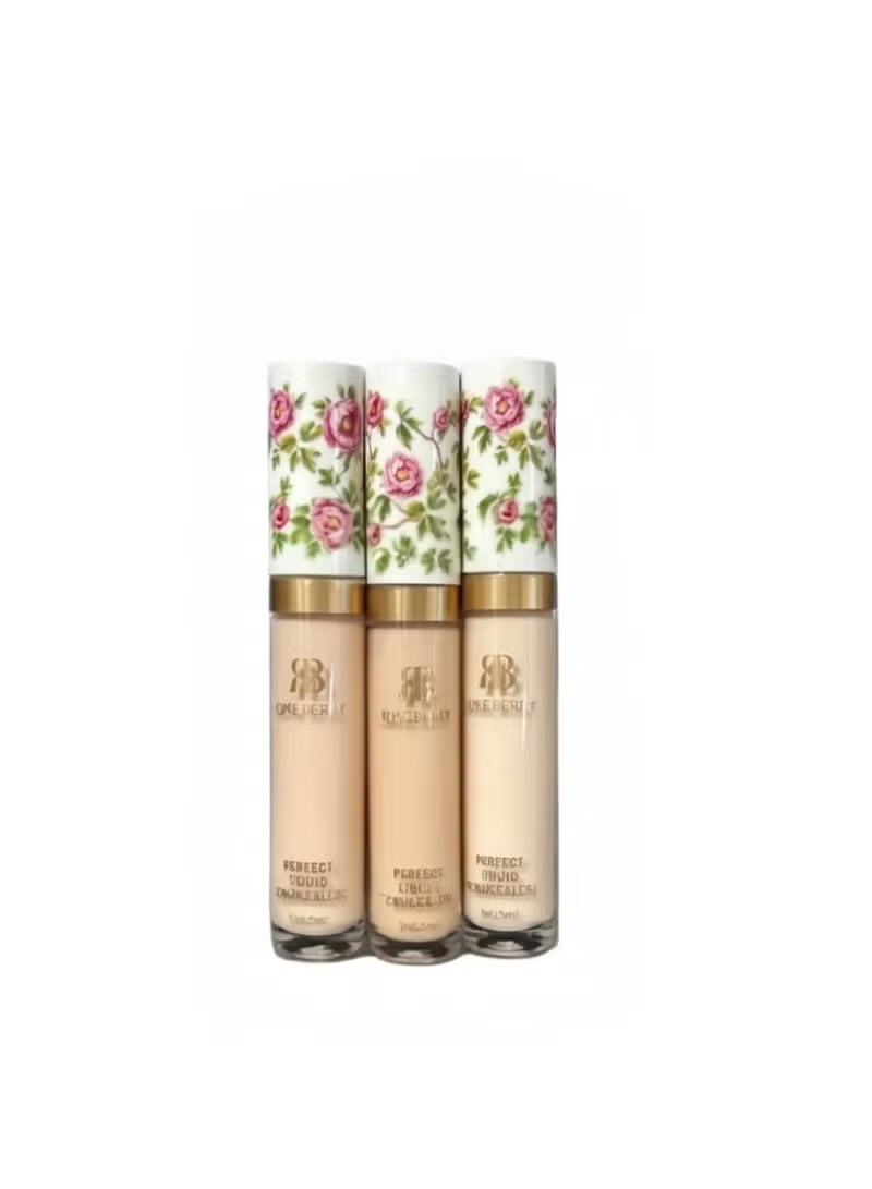Rose Berry Perfect Liquid Concealer - Shade 02 - Image 5